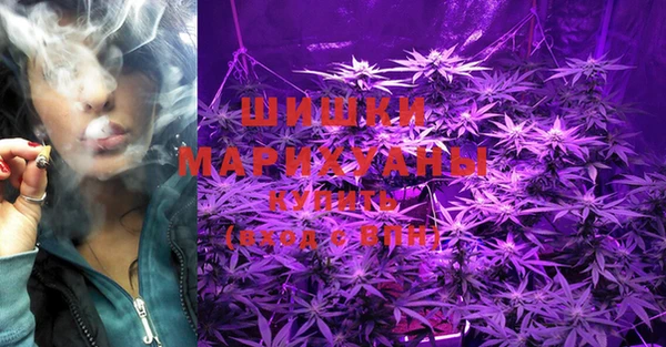 ПСИЛОЦИБИНОВЫЕ ГРИБЫ Белоозёрский